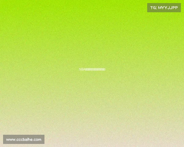 NBA球队风格：设计与文化的交汇