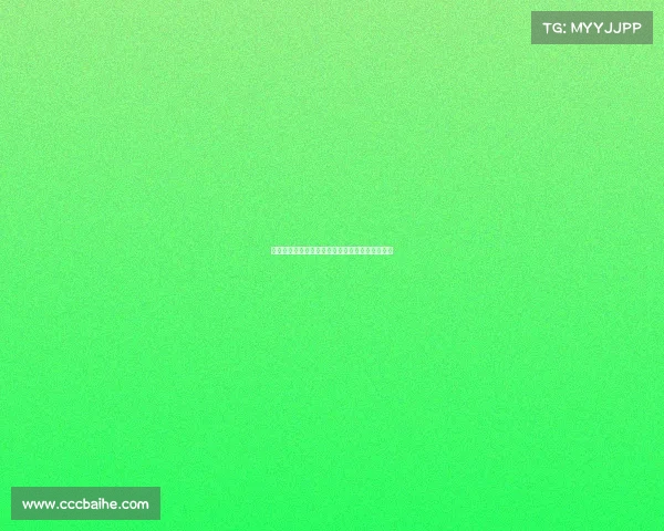 欧洲各国文化精髓与历史遗产的多样性与融合探讨